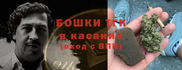 твердый Бердск