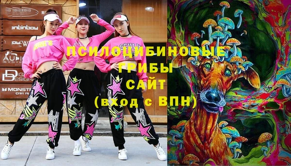 mdma Гусиноозёрск