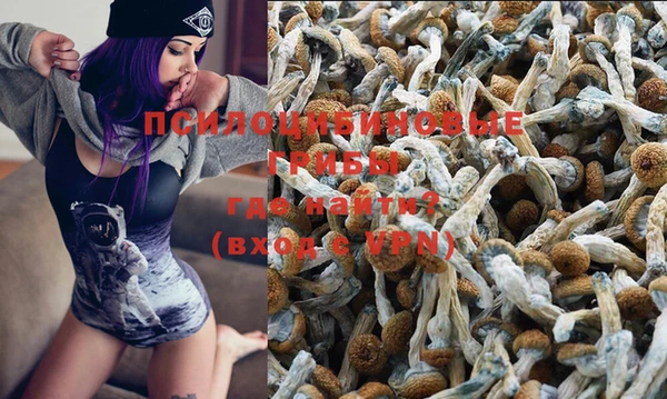 mdma Гусиноозёрск