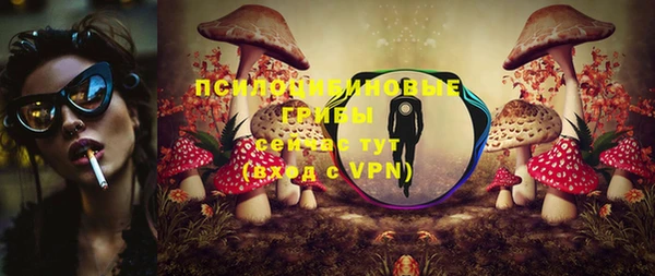 меф Дмитров