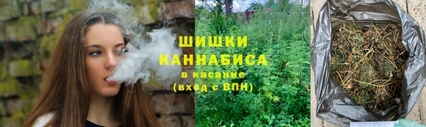 стаф Гусь-Хрустальный